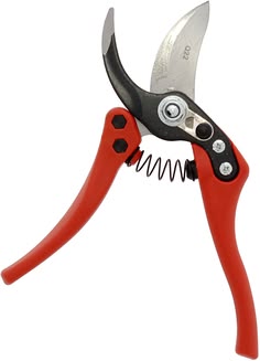 Pruning Shears 